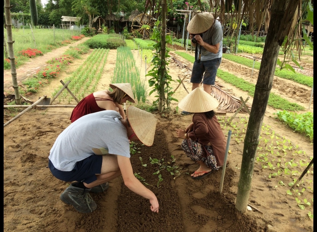 studying farmer 