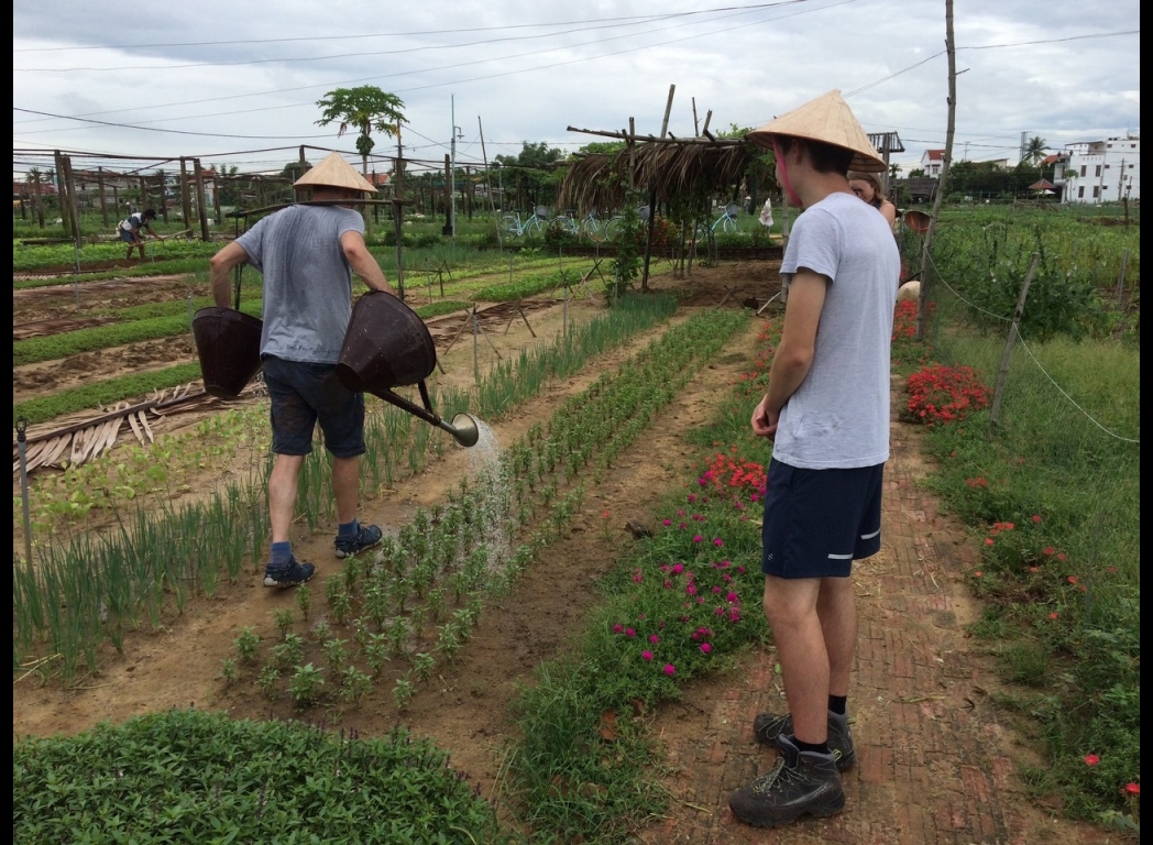 styding farmer activity 