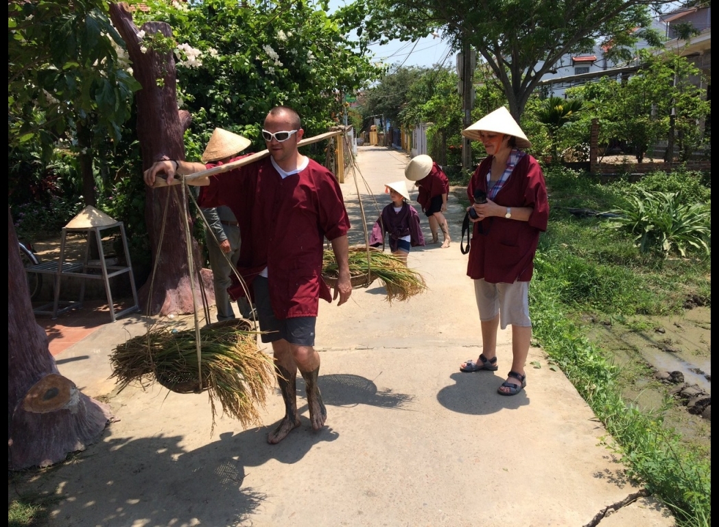 collect rice on harvest 