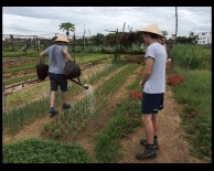 styding farmer activity 