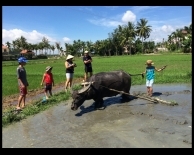 join farmer activity 