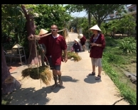 collect rice on harvest 